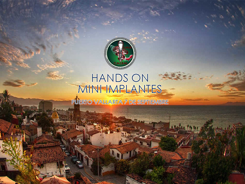hands on vallarta